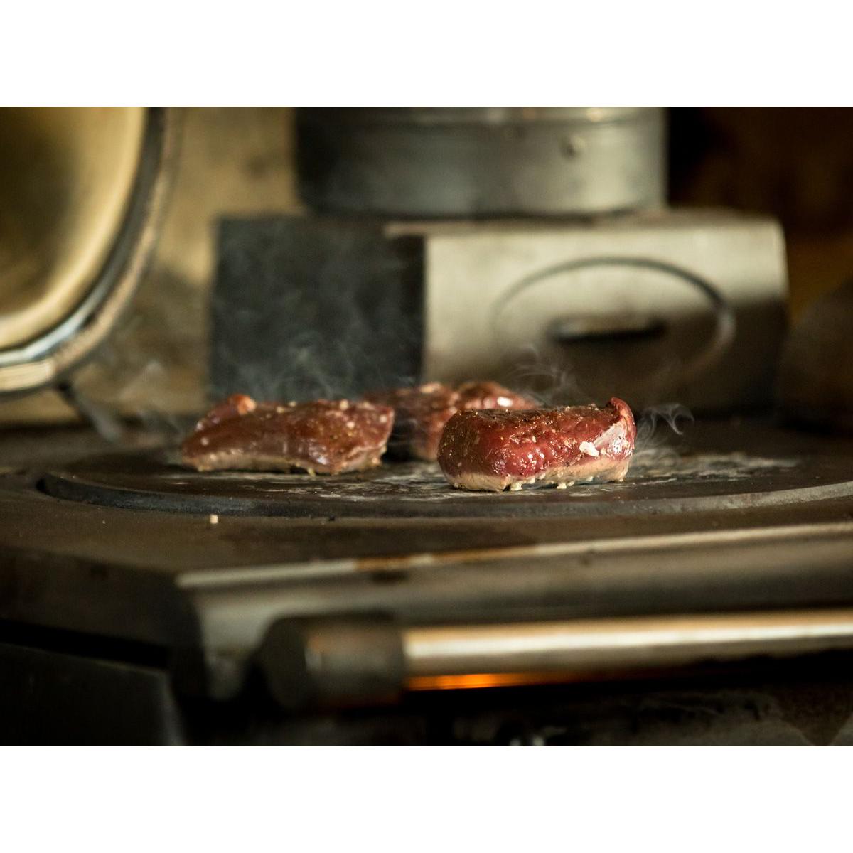 Esse Ironheart Wood Cooker