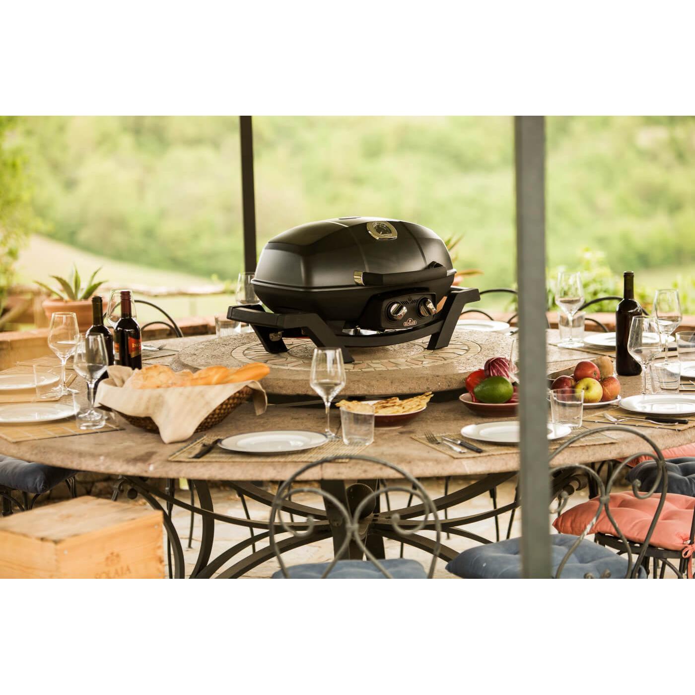 Napoleon TravelQ PRO285 LPG Gas BBQ