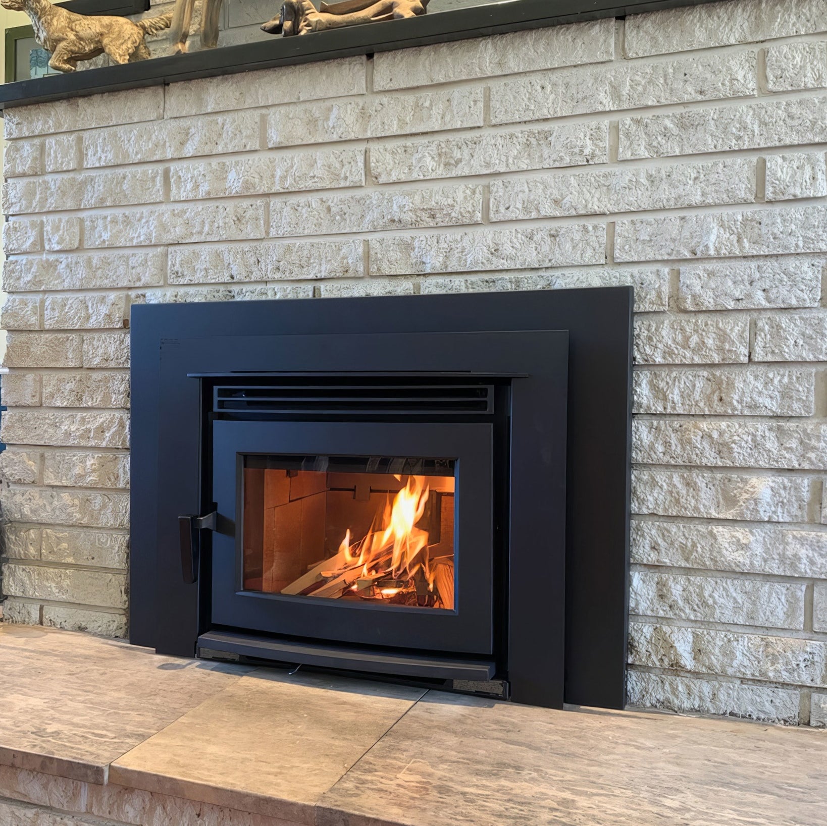 Pacific Energy Neo 2.5 Inbuilt Wood Fireplace