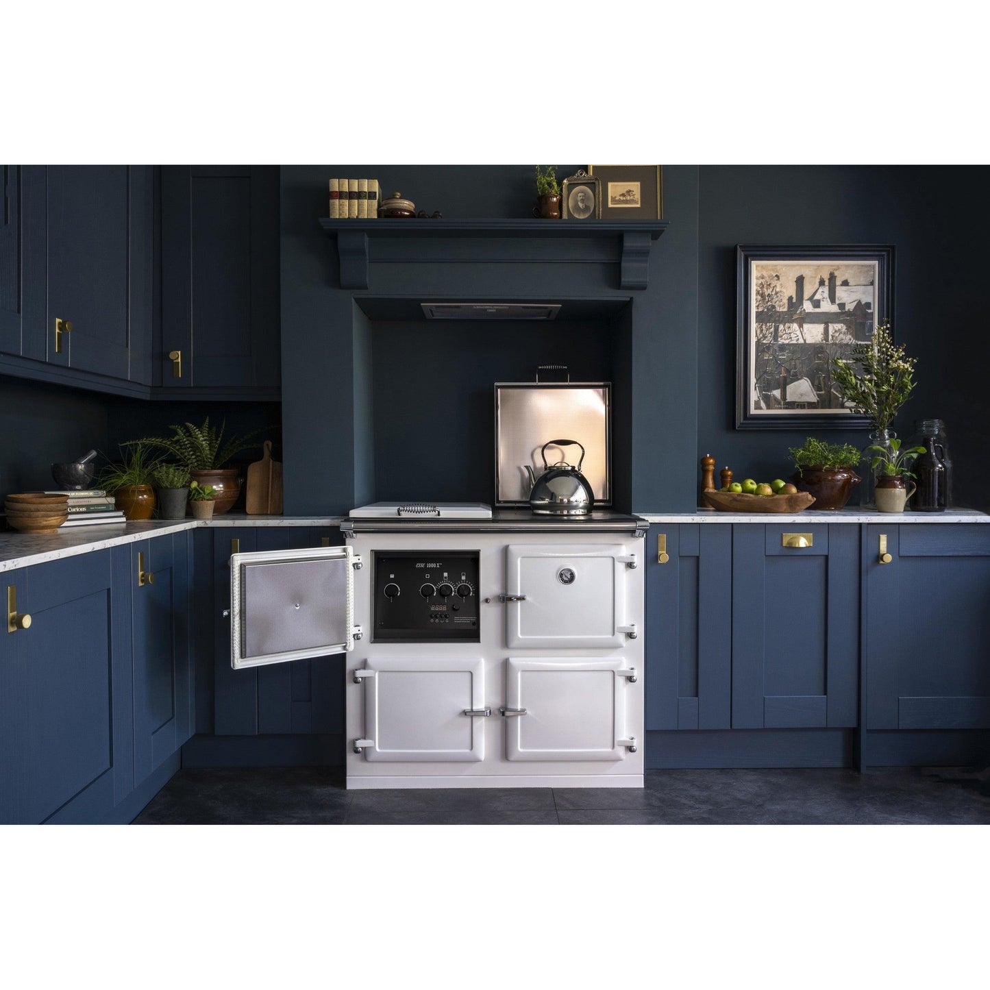 Esse 1000X Pro Electric Cooker