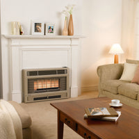 Rinnai 2001 Inbuilt Gas Flued Heater
