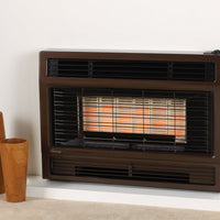 Rinnai 2001 Inbuilt Gas Flued Heater
