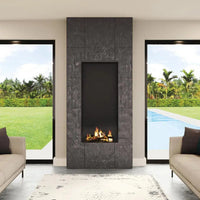 Aerion Alto Gas Fireplace