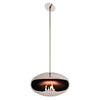 Cocoon Aeris Hanging Ethanol Fireplace - Stainless Steel With Angled Pole