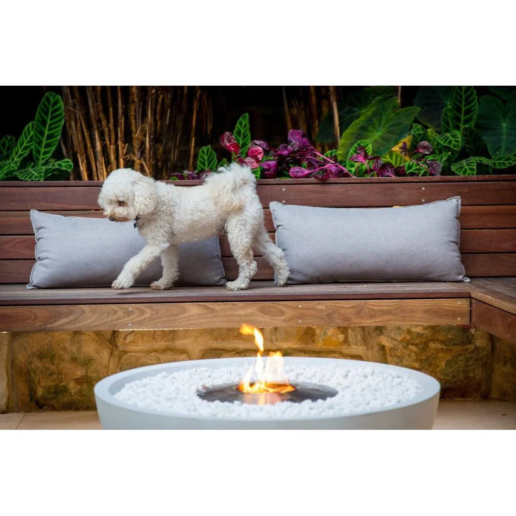 Ecosmart Mix 850 Ethanol Fire Pit