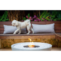 Ecosmart Mix 850 Ethanol Fire Pit