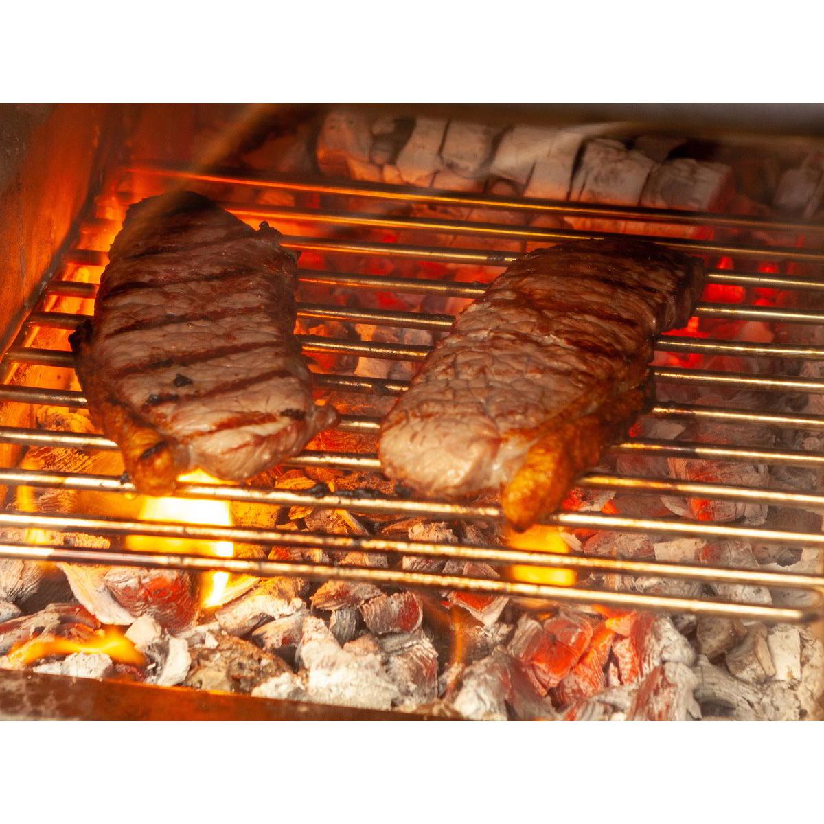 Esse Warmheart Deluxe Wood Cooker