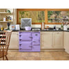 Everhot 90+ Electric Cooker