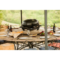 Napoleon TravelQ PRO285 LPG Gas BBQ
