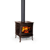 Pacific Energy Alderlea T5 Metallic Black Freestanding Wood Fireplace