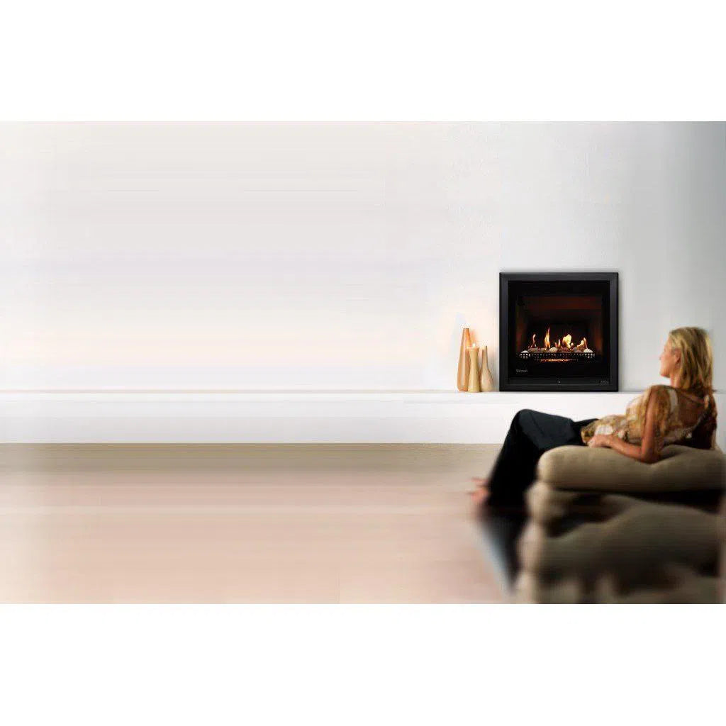 Rinnai 650 Gas Fireplace