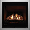 Rinnai 650 Gas Fireplace