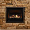 Rinnai 750 Gas Fireplace