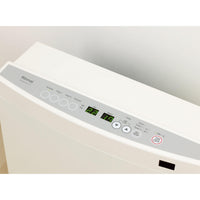 Rinnai Dynamo 15 Portable Gas Heater Platinum Silver