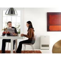 Rinnai Energysaver 309FT3 Gas Flued Heater
