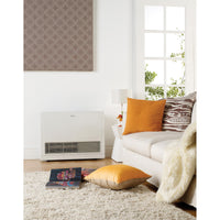 Rinnai Energysaver 559FT3 Gas Flued Heater