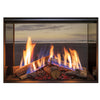 Rinnai LS 800 Double Sided Gas Fireplace
