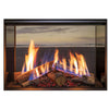 Rinnai LS 800 Flametech Double Sided Gas Fireplace