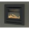 Rinnai SS850 In-Built Co-Axial Gas Fireplace