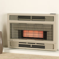 Rinnai Spectrum Inbuilt Gas Flued Heater