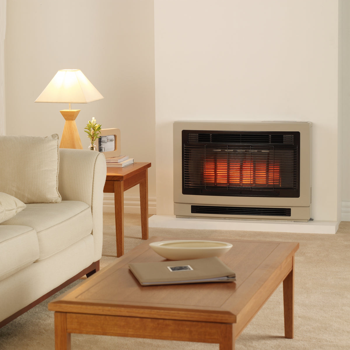 Rinnai Ultima II Inbuilt Gas Flued Heater