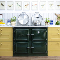 Esse 1000T Pro Electric Cooker