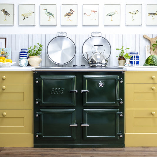 Esse 1000T Pro Electric Cooker