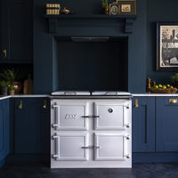 Esse 1000X Pro Electric Cooker