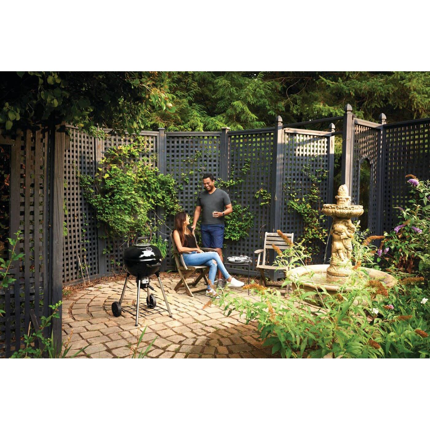 Napoleon 18 Inch Charcoal Portable BBQ