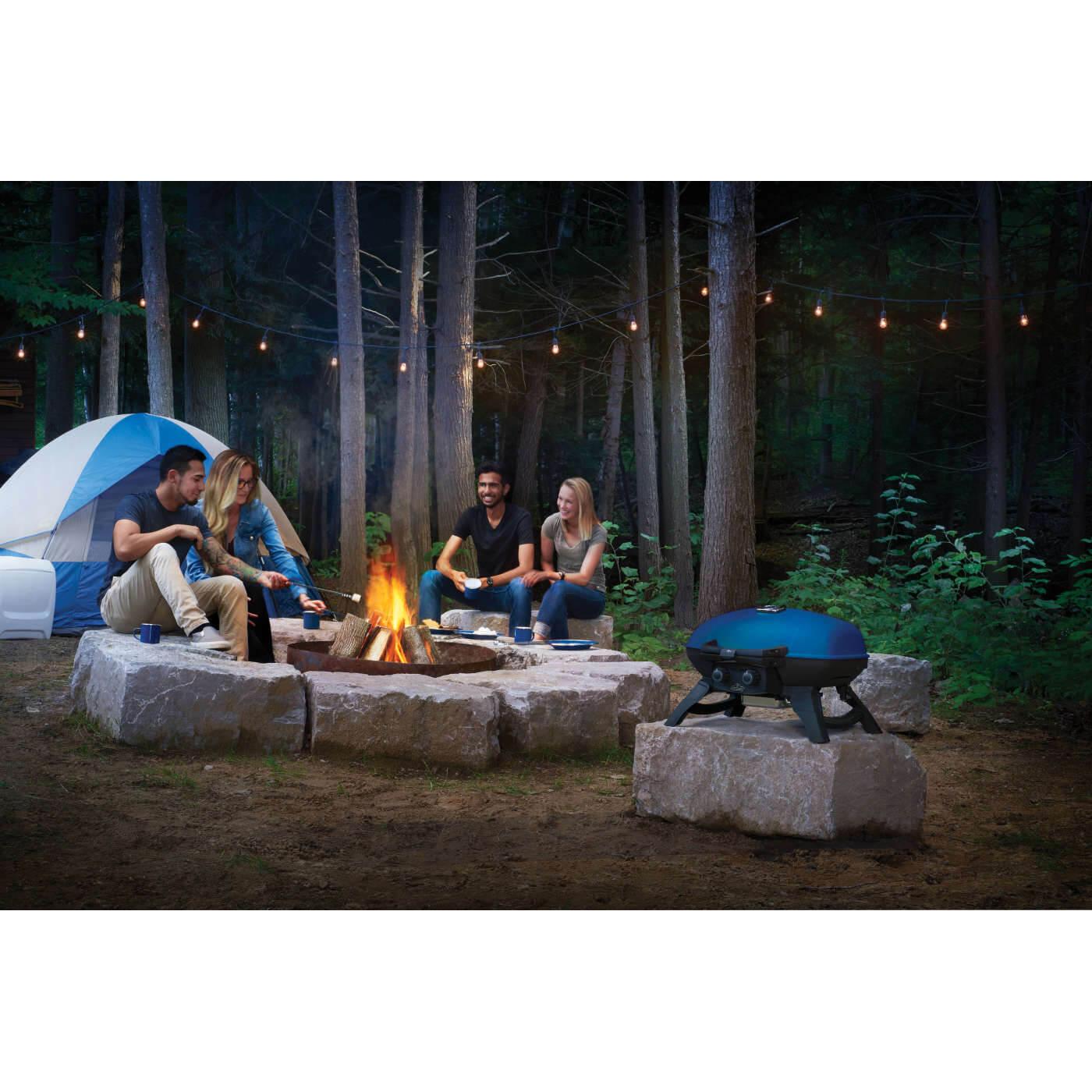 Napoleon TravelQ 285 LPG Gas Portable BBQ