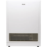 Rinnai Energysaver 561FT3 Gas Flued Heater
